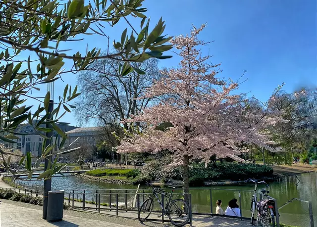 Chillen am Kö-Bogen | Foto: ©Margot Klütsch