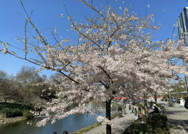 Kö-Bogen | Foto: ©Margot Klütsch