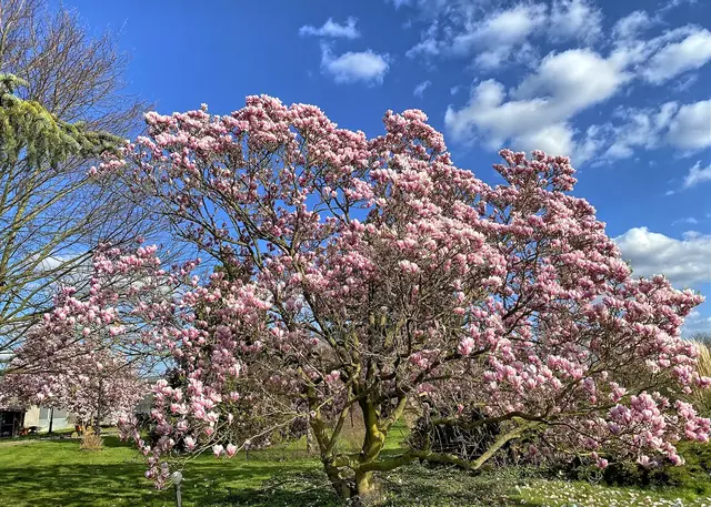 Foto: ©Margot Klütsch