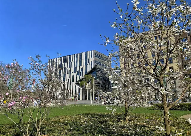 Frisch bepflanzt: Der Corneliusplatz in Düsseldorf mit Libeskind-Bauten | Foto: ©Margot Klütsch