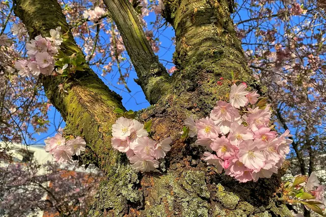 Foto: ©Margot Klütsch