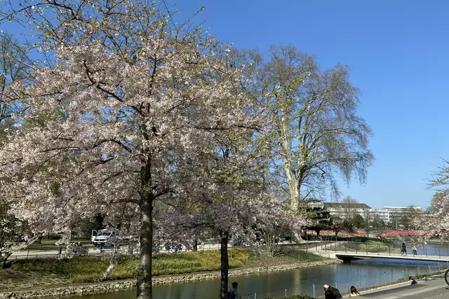 Kö-Bogen | Foto: ©Margot Klütsch