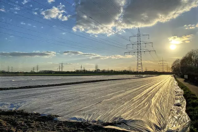Auf dem Rückweg die volle Sonne | Foto: ©Margot Klütsch
