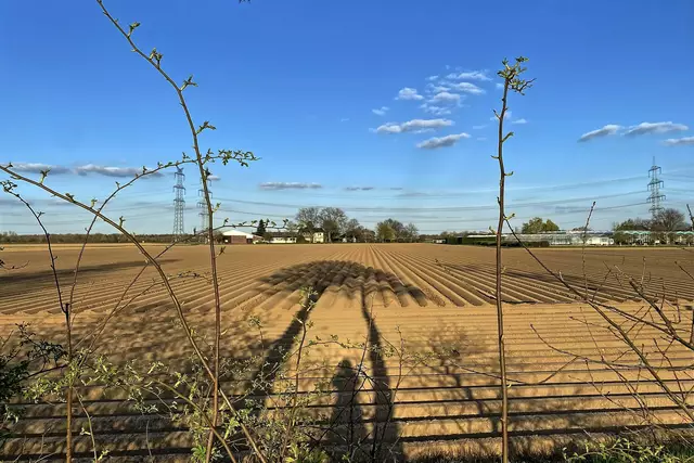 Schattenspiele auf dem Rückweg | Foto: ©Margot Klütsch