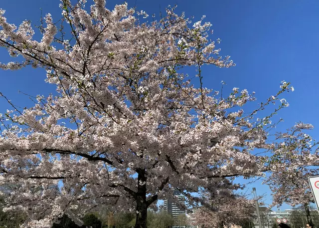 Am Kö-Bogen | Foto: ©Margot Klütsch