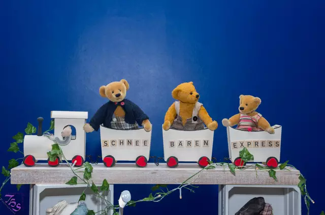 Die Wittener Schnee Bären