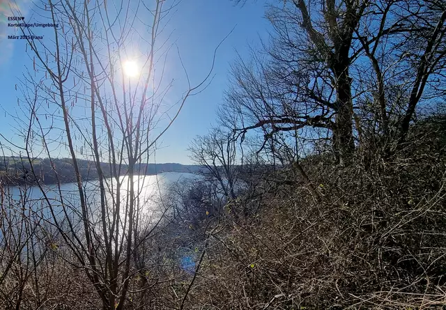 und immer wieder SEE ♥