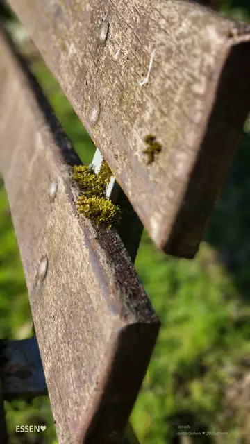 anderSehen auf einem Essener´Friedhof