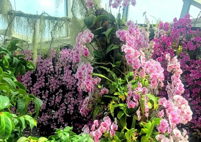 Der Flower Dome ist erreicht.