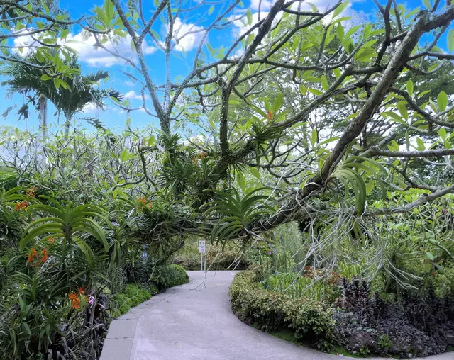 Überall üppiger Pflanzenwuchs