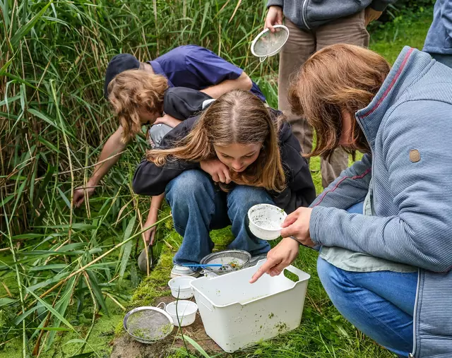Schüler können bei der Exkursion den Naturraum am Gewässer selbst erforschen – dabei führen sie eigene Gewässeruntersuchungen vor Ort durch und bestimmen Pflanzen und Kleintiere. Foto: Rupert Oberhäuser/EGLV 