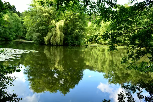 Am Hexenteich kann man nicht nur idyllisch spazieren gehen, sondern auch beim British picnic die Sprache verbessern.