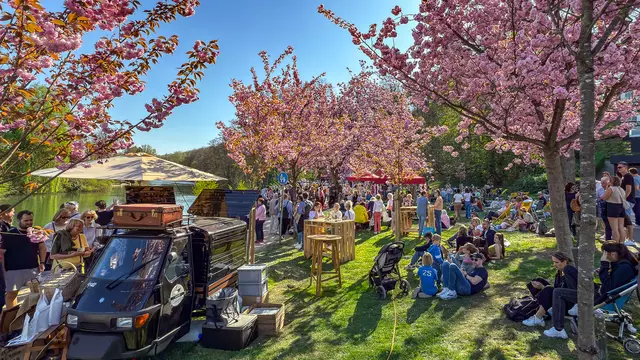 Kirschblütenfest 2025 am Kermisdahl in Kleve