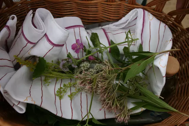 Für die kleine Wildkräutertour am 2. Mai gibt es noch freie Plätze.