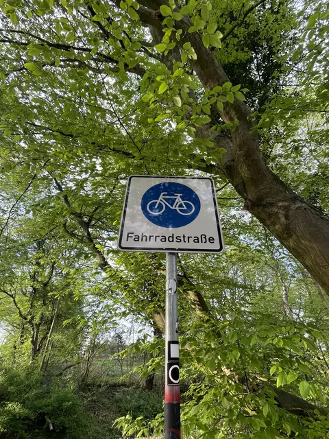 Foto: Tobias Glasder