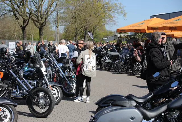 Bilder Axel Schepers 