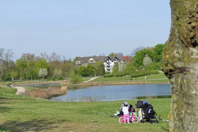 Liegewiese am Niederfeldsee