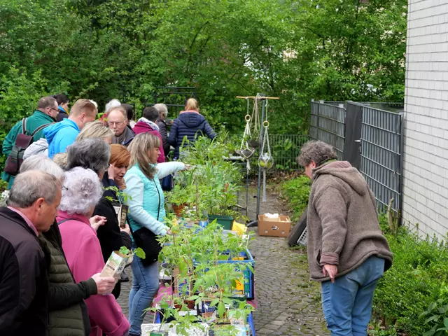 Die Aufnahme stammt vom Gartenflohmarkt 2023.
Foto: Evangelische Rheingemeinde Duisburg
