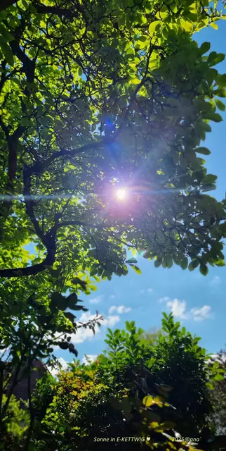 sunny day 
(hier in Essen-Kettwig angelangt... puuuh´)

2025@ana´