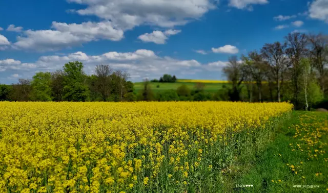 sooo schön GELB-Grün