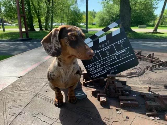 Essen: Zwergdackeldame "Lotti" steht im Mittelpunkt des TikTok-Kanals der Stiftung Zollverein.  | Foto: Doreen Scholz/Stiftung Zollverein 