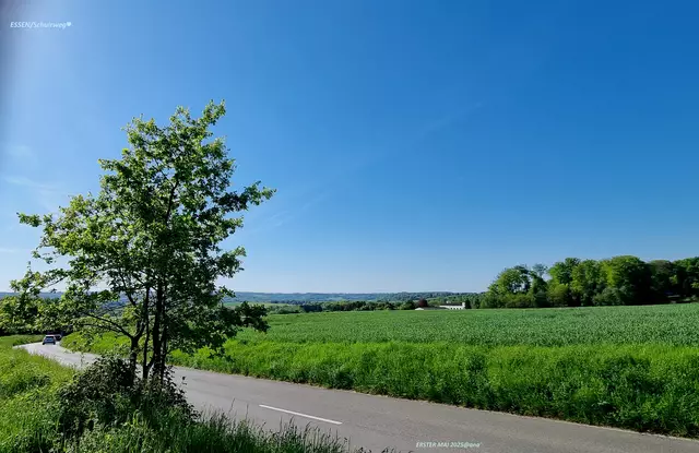SONNIGER START in den MAI

Essen/Schuir 2025@ana´