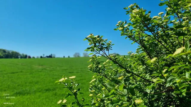 ...mir gefällt es hier :-)