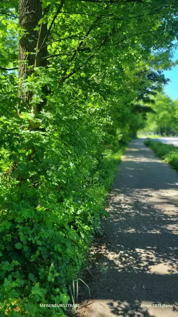 Foto: ALLE BILDER, bis auf eines, von mir selbst geschossen!