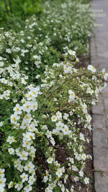 Foto: ALLE BILDER, bis auf eines, von mir selbst geschossen!