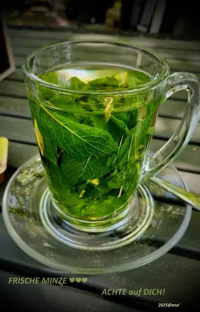 ausruhen .... | Foto: ALLE BILDER, bis auf eines, von mir selbst geschossen!