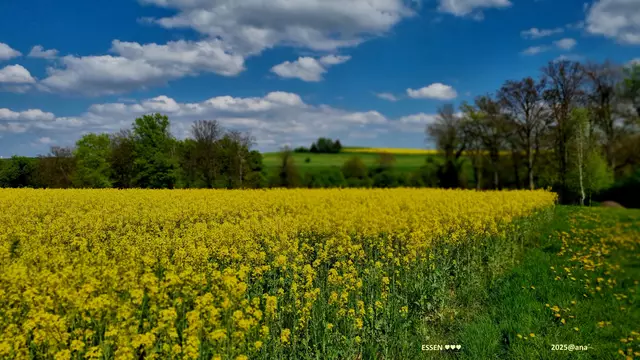 sooo wohltuend schön♥