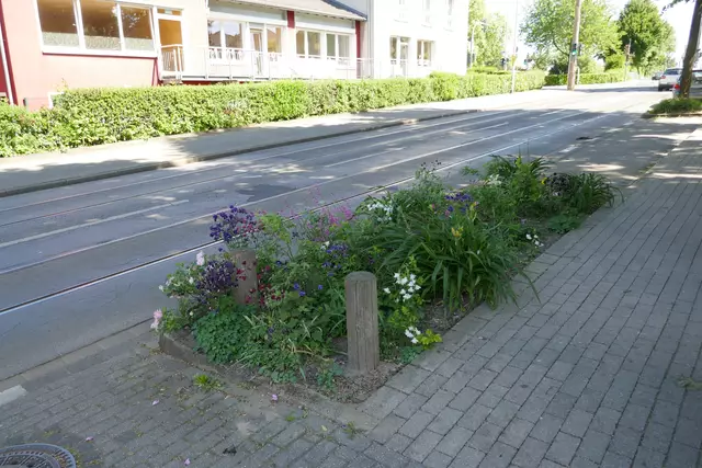 Bepflanzung entlang der Denkhauser Höfe