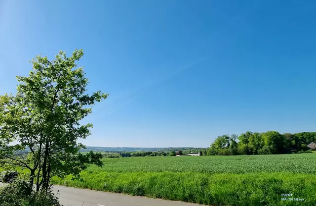 puuuhhh
Essen, Schuirweg