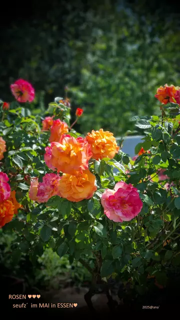 ...auf einem Friedhof