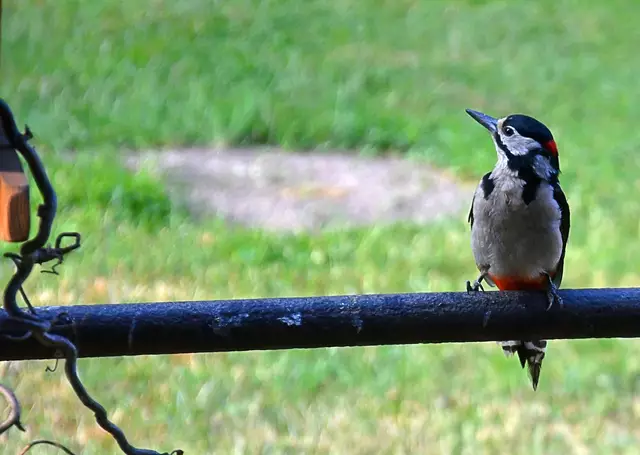 muss auch mal gucken