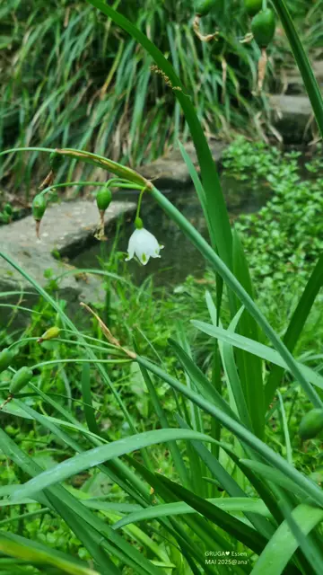 ... in der GRUGA ♥