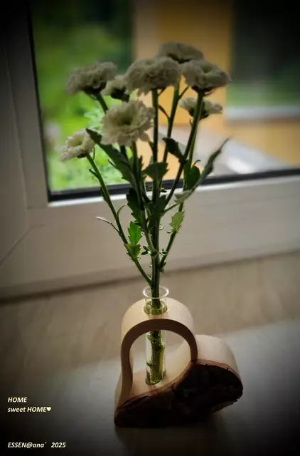 auch daheim machen Menschen es sich blumig gemütlich♥