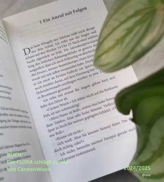 .... ein ANRUF....
ES GEHT LOS... 