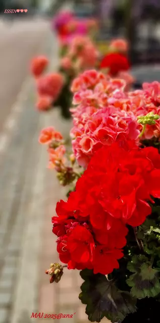 schön dekoriert :-)