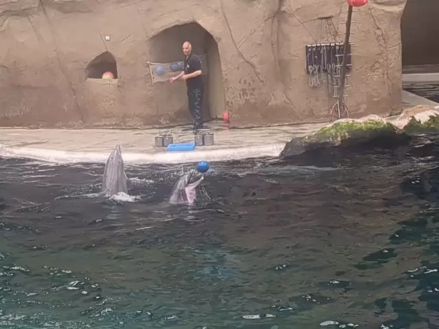 Hört mir mal zu! | Foto: Astrid Günther