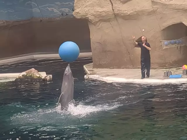 Balancieren | Foto: Astrid Günther