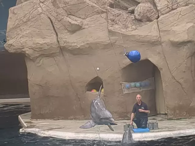 Vorstellung | Foto: Astrid Günther