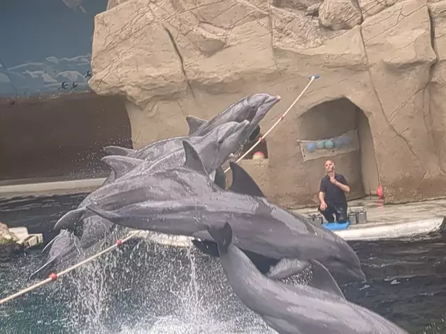 Alle auf einmal! | Foto: Astrid Günther