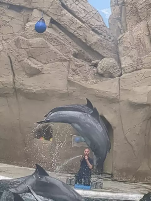 Sie zeigen, was sie können. | Foto: Astrid Günther