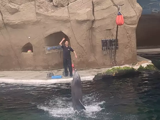 Sag hallo! | Foto: Astrid Günther