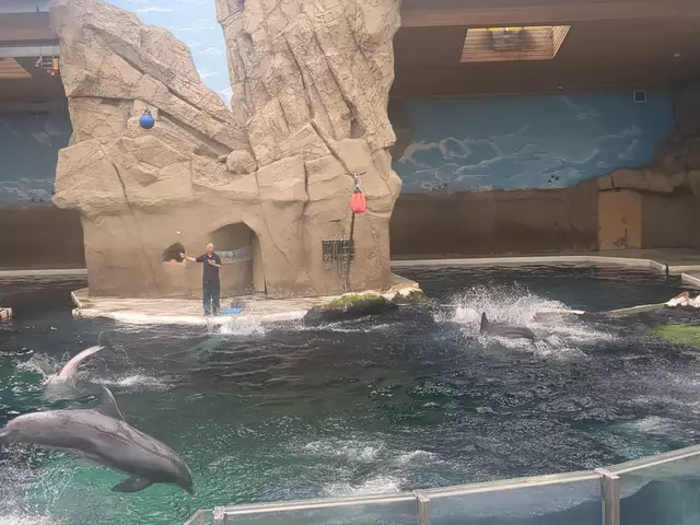 Delfinshow im Duisburger Zoo | Foto: Astrid Günther