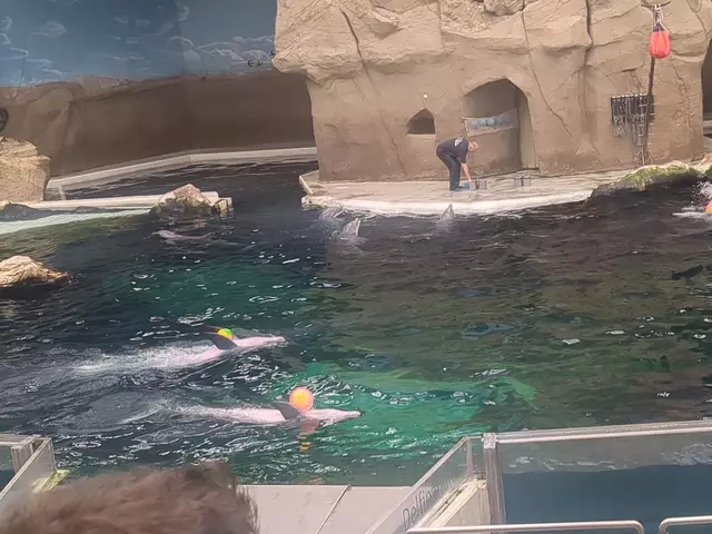 Ballspiele | Foto: Astrid Günther