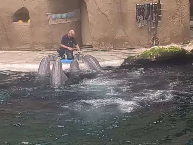 Die Belohnung habt Ihr Euch verdient! | Foto: Astrid Günther