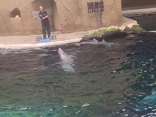 Ich werfe Dir gleich den Ball zu! | Foto: Astrid Günther