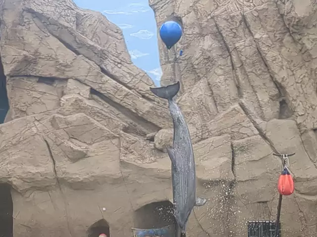 Was für ein Sprung! | Foto: Astrid Günther